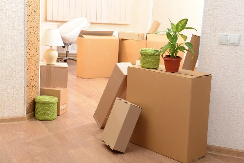 Mover handling fragile items carefully during transport